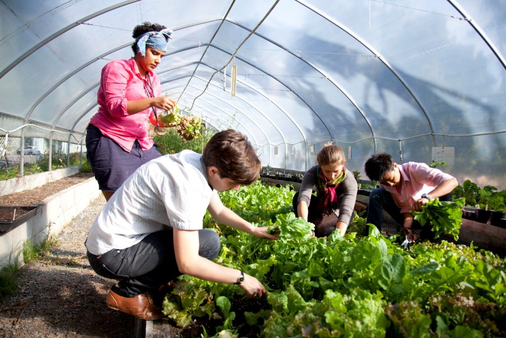 Students gardening in the greenhouse.