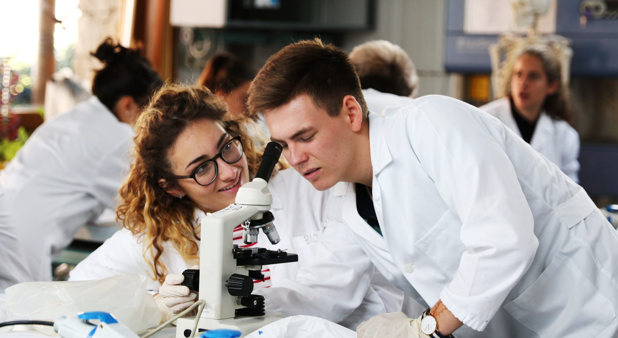 Application pathway finder - discover your route to apply